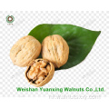 Voedsel voor Longevity Chinese Walnut Kernels Lichte stukken